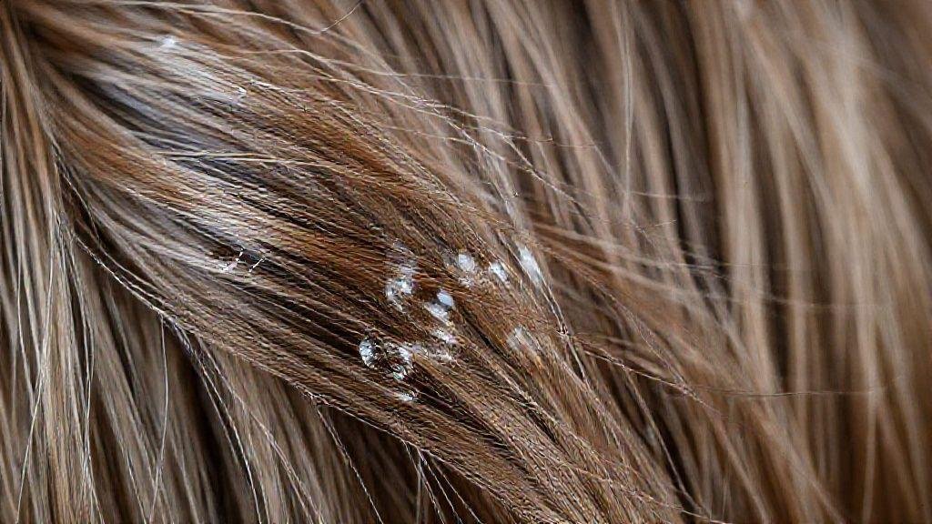 Cuidados essenciais para o cabelo